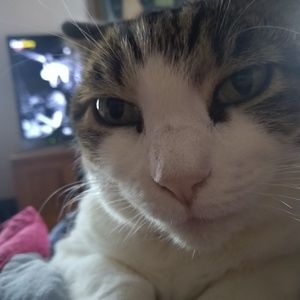 Meet your Posher, Judith